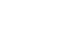 Ziylan Akademi logosu