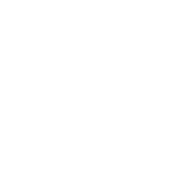 Schneider logosu