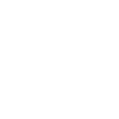 Boyner logosu